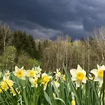 Ve Stodole Dom wakacyjny Zlata Olesnice (Jablonec nad Nisou)