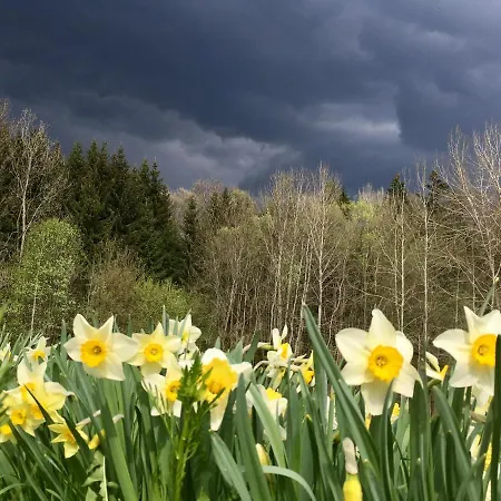 Ve Stodole Casa vacanze Zlata Olesnice (Jablonec nad Nisou)