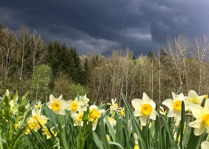 Ve Stodole بيت للعطل Zlata Olesnice (Jablonec nad Nisou)